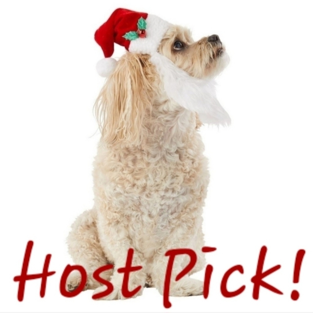 NWT Merry & Bright Pet Santa Hat with Attached Beard Dog Chistmas New
